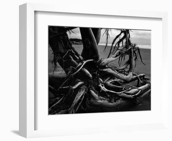 Wood and Sand, Alaska, c. 1970-Brett Weston-Framed Photographic Print