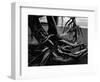 Wood and Sand, Alaska, c. 1970-Brett Weston-Framed Photographic Print