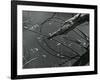 Wood and Water, c. 1970-Brett Weston-Framed Photographic Print