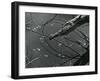 Wood and Water, c. 1970-Brett Weston-Framed Premium Photographic Print