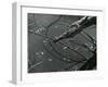 Wood and Water, c. 1970-Brett Weston-Framed Premium Photographic Print