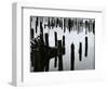 Wood and Water, Reflection , c. 1970-Brett Weston-Framed Photographic Print