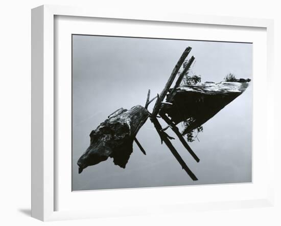 Wood and Water Reflection, Oregon, 1967-Brett Weston-Framed Premium Photographic Print