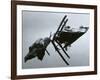 Wood and Water Reflection, Oregon, 1967-Brett Weston-Framed Photographic Print