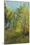 Wood at Antoliva-null-Mounted Giclee Print