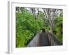 Wood, Auckland Sentennial Park, Piha, Auckland, North Island, New Zealand-Rainer Mirau-Framed Photographic Print