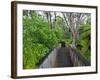 Wood, Auckland Sentennial Park, Piha, Auckland, North Island, New Zealand-Rainer Mirau-Framed Photographic Print