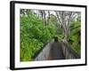 Wood, Auckland Sentennial Park, Piha, Auckland, North Island, New Zealand-Rainer Mirau-Framed Photographic Print