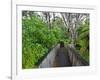 Wood, Auckland Sentennial Park, Piha, Auckland, North Island, New Zealand-Rainer Mirau-Framed Photographic Print