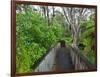 Wood, Auckland Sentennial Park, Piha, Auckland, North Island, New Zealand-Rainer Mirau-Framed Photographic Print