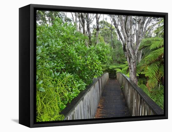 Wood, Auckland Sentennial Park, Piha, Auckland, North Island, New Zealand-Rainer Mirau-Framed Stretched Canvas