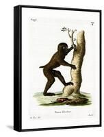 Wood Baboon-null-Framed Stretched Canvas