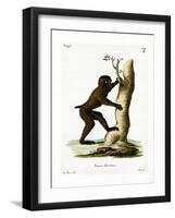 Wood Baboon-null-Framed Giclee Print