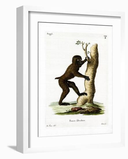 Wood Baboon-null-Framed Giclee Print