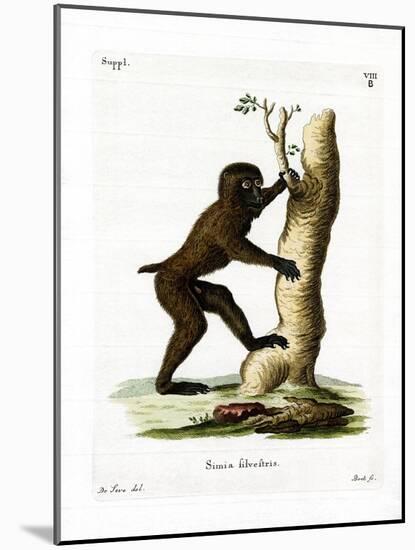 Wood Baboon-null-Mounted Giclee Print