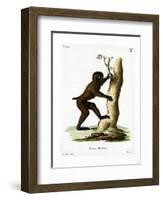 Wood Baboon-null-Framed Giclee Print