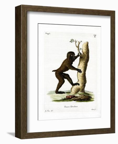 Wood Baboon-null-Framed Giclee Print