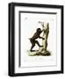 Wood Baboon-null-Framed Giclee Print