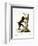 Wood Baboon-null-Framed Giclee Print