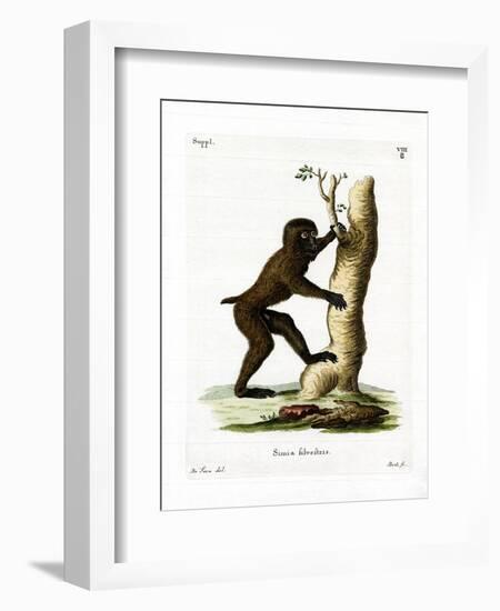 Wood Baboon-null-Framed Giclee Print