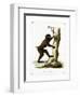 Wood Baboon-null-Framed Giclee Print