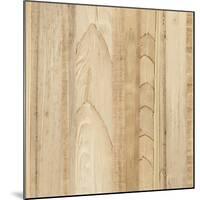 Wood Background I-Wild Apple Portfolio-Mounted Art Print