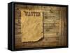 Wood Background Wild West Style-Hannuviitanen-Framed Stretched Canvas