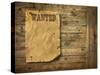 Wood Background Wild West Style-Hannuviitanen-Stretched Canvas