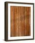 Wood Background with Scratches-ilker canikligil-Framed Photographic Print