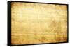 Wood Background-Vitaliy Pakhnyushchyy-Framed Stretched Canvas