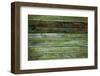 Wood Background-Arcady31-Framed Premium Photographic Print