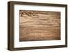 Wood Background-Bozena_Fulawka-Framed Photographic Print