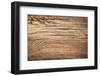 Wood Background-Bozena_Fulawka-Framed Photographic Print