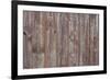 Wood Background-blumer-Framed Photographic Print