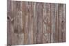 Wood Background-blumer-Mounted Photographic Print