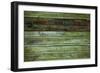 Wood Background-Arcady31-Framed Photographic Print