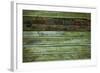 Wood Background-Arcady31-Framed Photographic Print