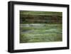 Wood Background-Arcady31-Framed Photographic Print