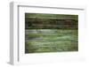 Wood Background-Arcady31-Framed Photographic Print