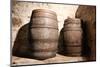 Wood Barrel-trotalo-Mounted Photographic Print
