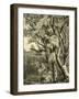 Wood Bird 1891 Austria-null-Framed Giclee Print
