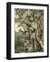 Wood Bird 1891 Austria-null-Framed Giclee Print