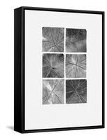 Wood Block Squares-Sam Appleman-Framed Stretched Canvas