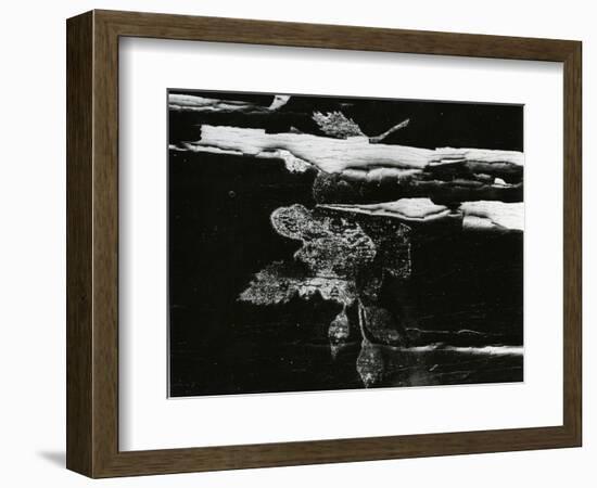 Wood, c. 1970-Brett Weston-Framed Photographic Print