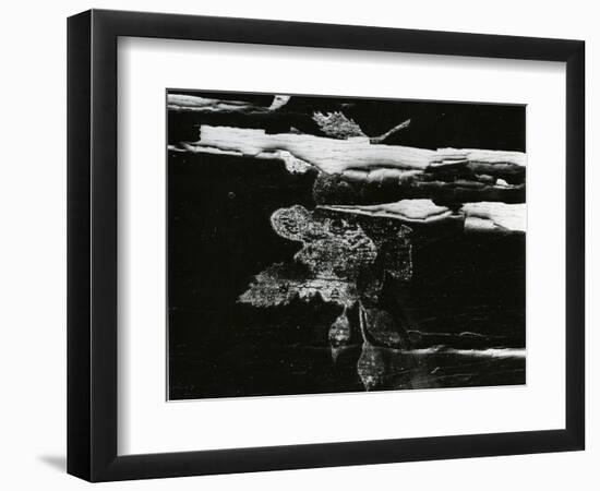 Wood, c. 1970-Brett Weston-Framed Photographic Print