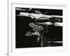 Wood, c. 1970-Brett Weston-Framed Photographic Print