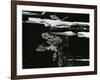 Wood, c. 1970-Brett Weston-Framed Photographic Print