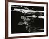 Wood, c. 1970-Brett Weston-Framed Photographic Print