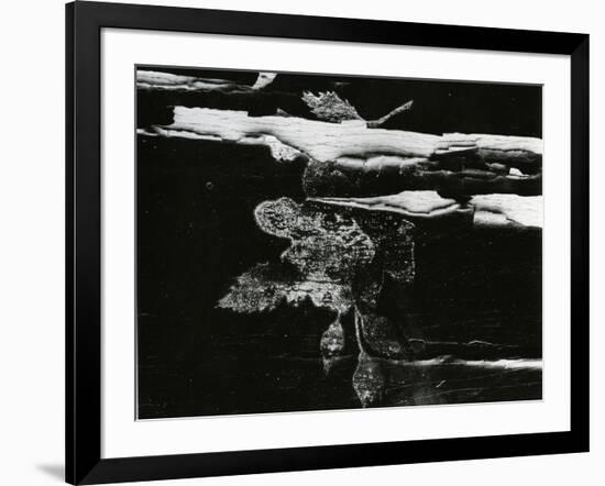 Wood, c. 1970-Brett Weston-Framed Photographic Print