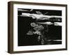 Wood, c. 1970-Brett Weston-Framed Premium Photographic Print